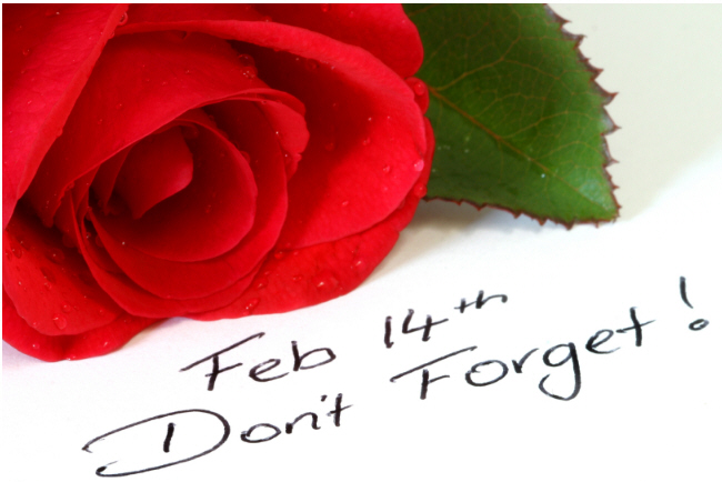 coupon roof cleaning Houston Tx or house power washing Houston Texas